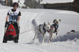 Kandersteg 2013